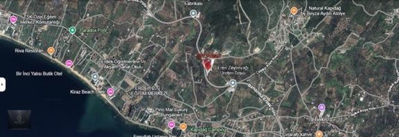 C21 Trust | Erdek Çeltikçi'de Ana Yola Sıfır 5860 M² Zeytinlik 2