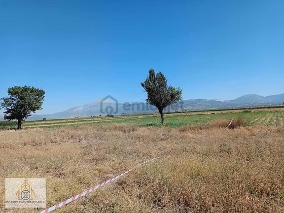 Acıpayam Yassıhöyükte Bölgenin En Uygun Fiyatlı Sulu Arazisi 1