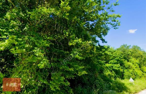 Kandıra Üğümce 1.080m² Müstakil Tapu Kadastral Yola Cephel Tarla 1