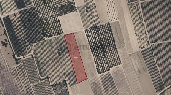 Yalvaç İlçesin'de Aşağıkaşıkara Köyün'de 7983m2 Satılık Tarla 1