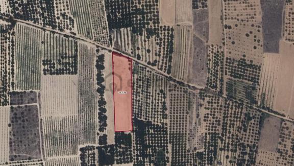 Yalvaç İlçesin'de Yukarıkaşıkara Köyün'de 7113m2 Satılık Tarla 1