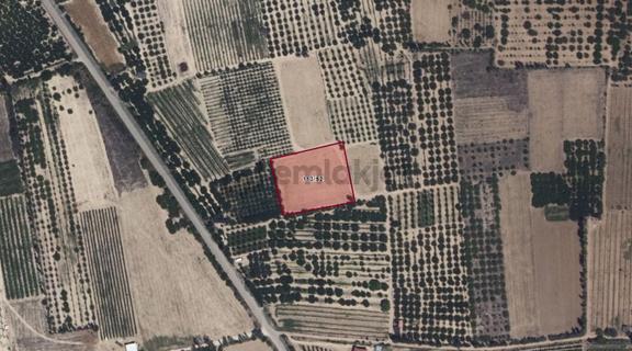 Yalvaç İlçesin'de Yukarıkaşıkara Köyün'de 5196m2 Satılık Tarla 1