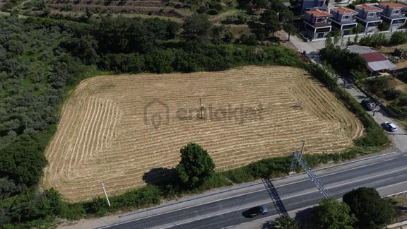 Davutlar Kaynaklar Mevkiinde 3.365 M² Satılık Arsa 2