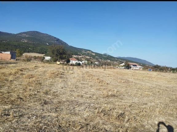 Bucak Ürkütlü 'de Yatırıma Uygun 1.423 M² Satılık Tarla 1