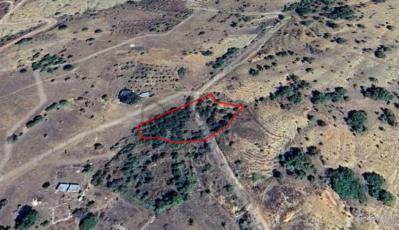 Palmiye Gayrimenkulden Taşkent Kongul 1845 M2 Satılık Bahçe 1