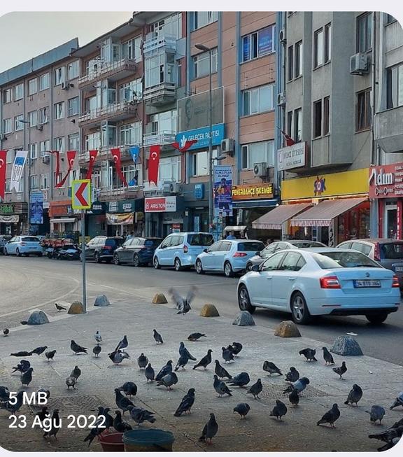 Sahibinden Cadde Crphe Belediye Karşısı 1