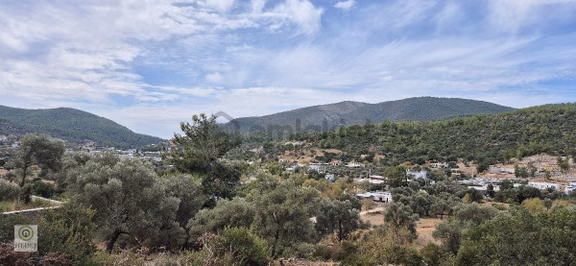 Bodrum Yalıçiftlik Te Satılık 2+1 Daire 2
