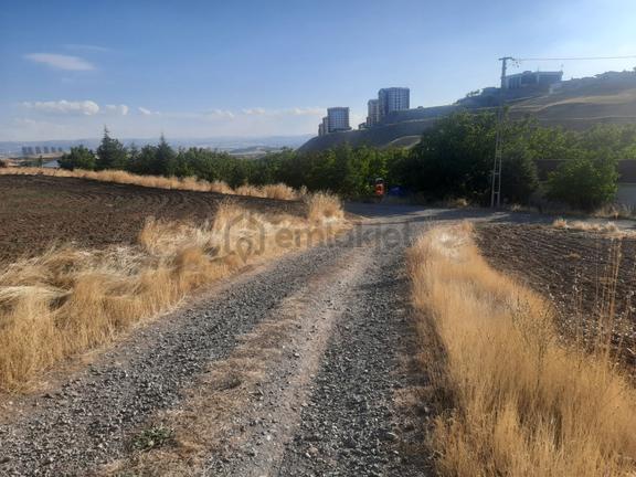 Satılık Tarla İmar Kiracı Yatırım Avantaj Yol Elektrik Su Çit Mebuskent Besi Ulaşım Ağaçlık 1