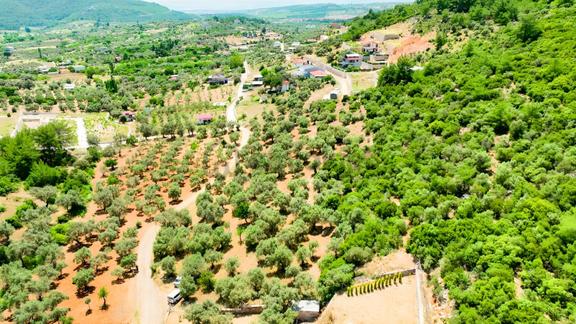 İzmir Buca Kırklarda 8.560 M² Alanlı, Yola 175 M Cepheli Arsa 2