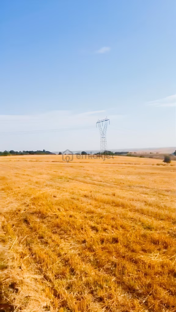 Edirne Uzunköprü'de 566 M² Tarla: Peşinatsız, Elden 10 Taksitle! 2