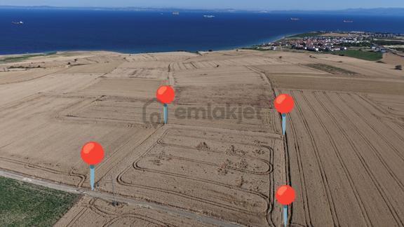 Nuhoğlu 'ndan Satılık 6.798 M2 Yola Cephe Deniz Manzaralı Tarla 2