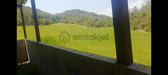 6007 Tek Tapu 10 Dönüm Hazine Toplam 16 Dönüm