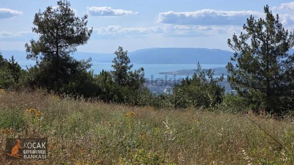 Çamoluk Mahallesinde Göl Gören Köy Yakını 6496m2 Satılık Arazi 1