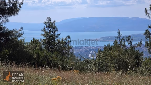 Çamoluk Mahallesinde Göl Gören Köy Yakını 6496m2 Satılık Arazi 2
