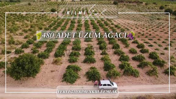 Yerli Gayrimenkul'den Satılık Üzüm Bağı 2