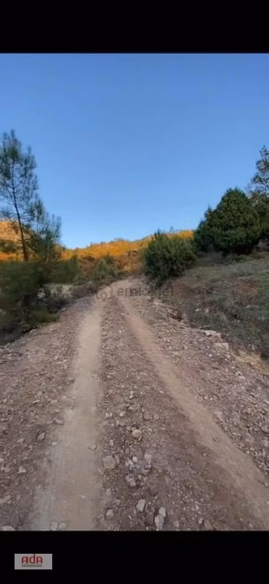 Bilecik Belenalan'da Yolu Açık, Tek Tapu 1900 M² Kupon Arazi 2
