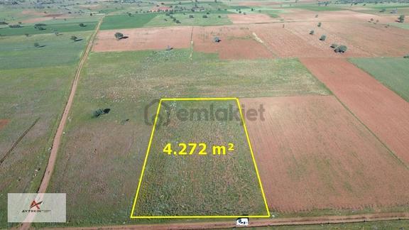 Konya Akören Karahüyükte 4.272 M² Müstakil Tarla Resmî Yollu 2