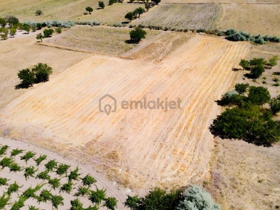 Şanlıbaba Emlak'tan Boğaz'da Satılık Tarla 2