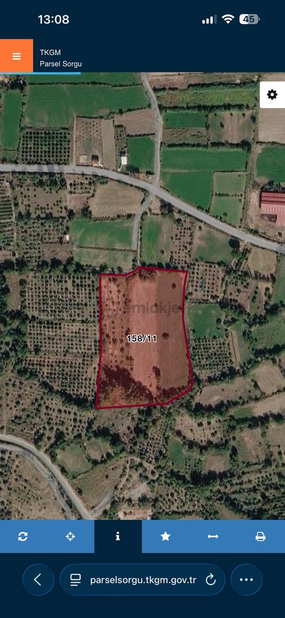 Pirlibey’de 5.014 M² Zeytinlik 2