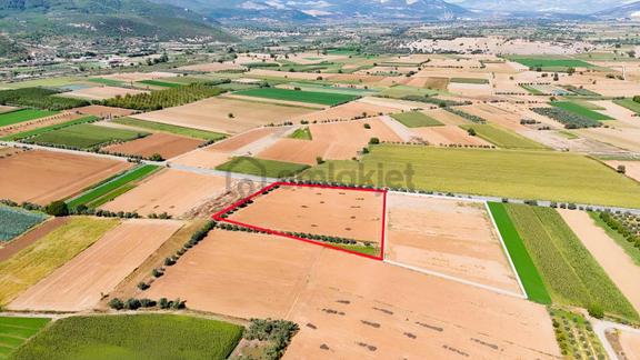 Gökpınarda Asfalt Cepheli İyi Konumlu 10.241 M² Tarla 2
