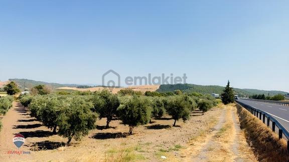 13 Manisa Kırkağaçta 3.600 M² Satılık Tarla 1