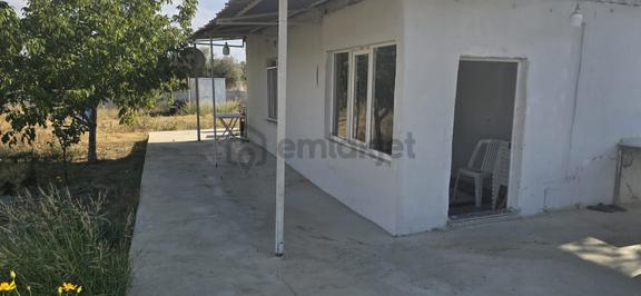 İzmir Menderes Dereköy De Elektirik Suyu Olan Satılık Bahçe 1