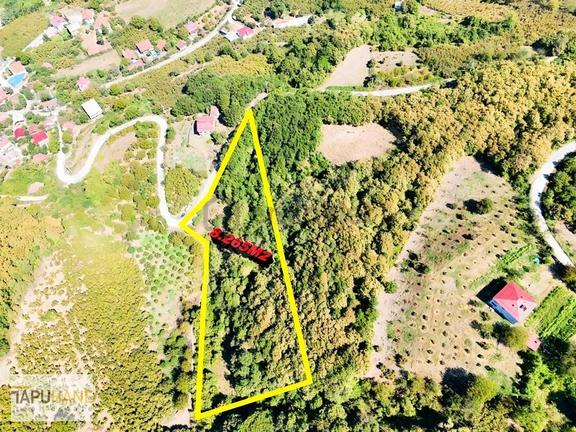 Tapuhane'den Akyazı'da 8.265m2 Satılık Fırsat Tarla 2
