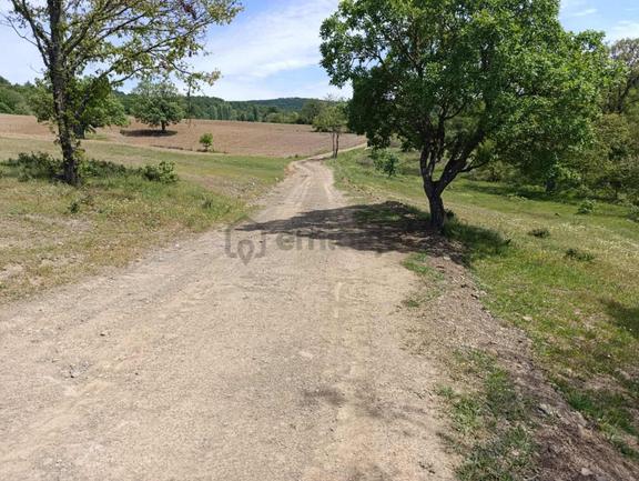 Kestel Nüshetiye Satılık 362 M2 Satılık Hisseli Tarla 1