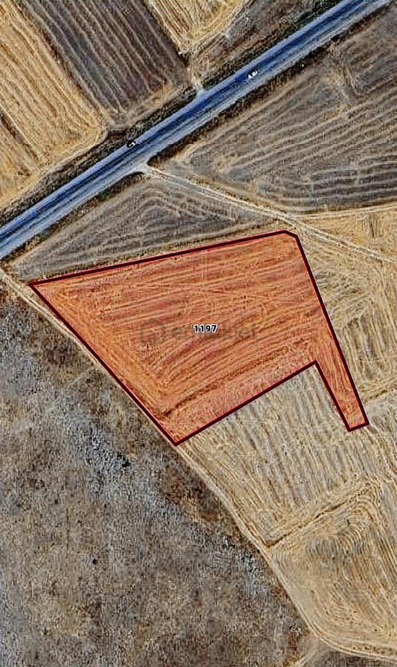 Afyonkarahisar Dinar Bağcılar Mahallesinde 9300 M² Satılık Tarla 1