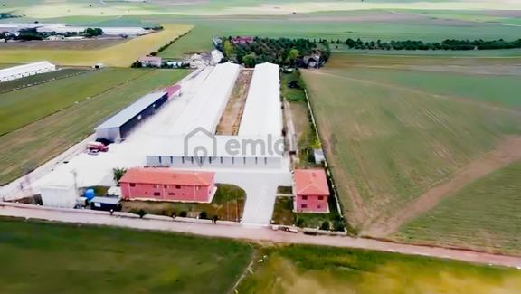 21.000m2 1500 Büyük Baş Kapasiteli Satılık Çiftlik 1