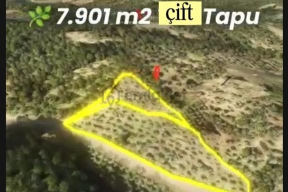Bir Haftalık 8.000.000 ₺ İzmir Kemalpaşa Yukarıkızılca Mahallesi | İmara Sınır Çift Tapu 2