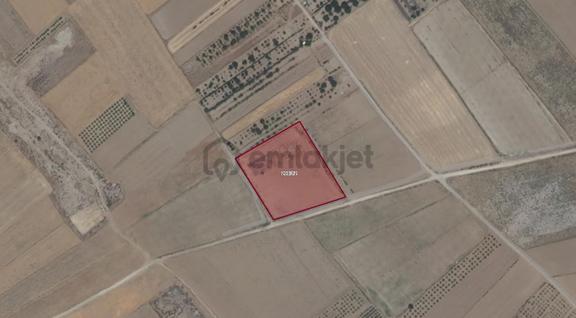 Burdur Düğer Köyün'de 8.880m2 Satılık Tarla 1