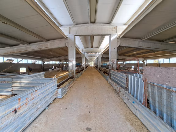 Ruhsatlı Ve Yapı Kullanım İzinli 1.500m² Hayvancılık Tesisi 1