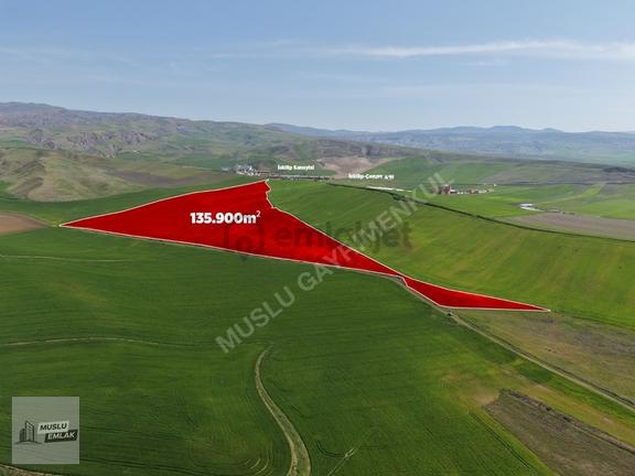 Musludan İskilipte Satılık 136 Dönüm Satılık Tarla