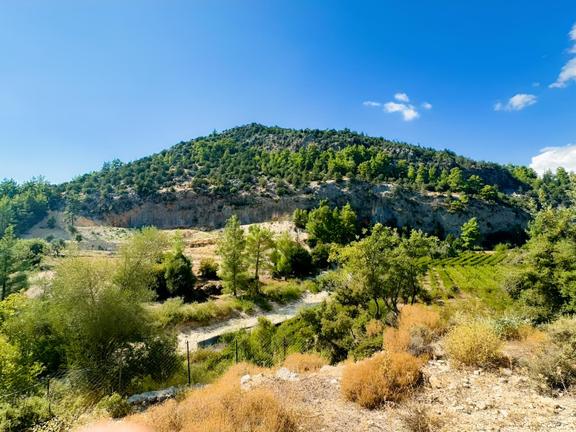 Antalya Manavgat Ahmetler Mahallesi Satılık Tek Tapu Tarla 1