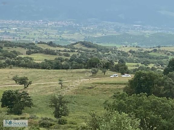 Kökkaya'dan Balıkesir Sındırgıda 16.200 M² Müstakil Parsel 1