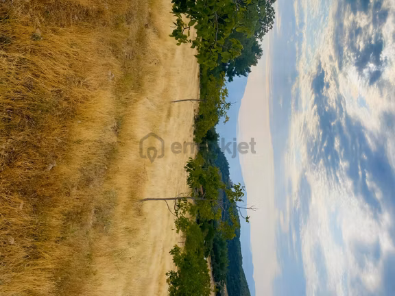 Muğla Seydikemer Çatak'ta Satılık Tarla: 20.000 M² 2