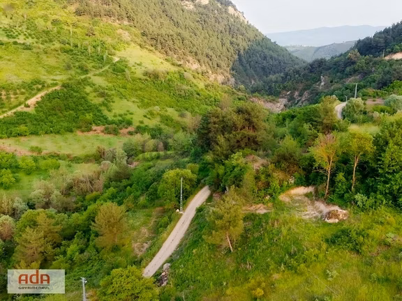 Ada Gayrimenkul Geyve Melekşesolak Mah. 1230m2 Kupon Arazi 2