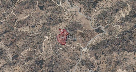 Aydın Koçarlı Gözkaya Mahallesi'nde Satılık Zeytinlik Arazisi 1
