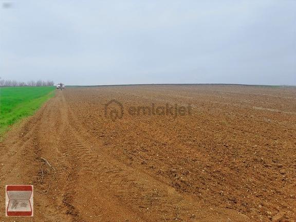 Kavaklı Merkeze Yakın Resmi Yolu Mevcut 7300 M2 Tarla 2