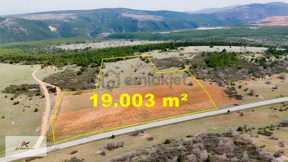 Ormanın Yanında 19.003 M² Müstakil Tarla Asfalt Yola Sıfır 2