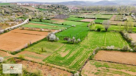 Doğanhisar Zafer Mahallesinde 500 M² Müstakil Tapulu Tarla 1