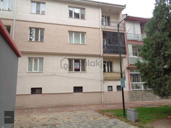 Merkez Yeni Mah. Dip Sokak Ta Park Cepheli Daire 1