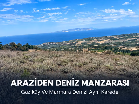 Şarköy Gaziköyde Deniz Manzaralı 9.266 M² Tek Tapu Arazi 2