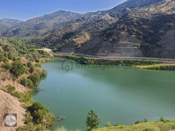 Sultanhisar - Demirhan Mahallesi Satılık 4 Dönüm Zeytinlik 2