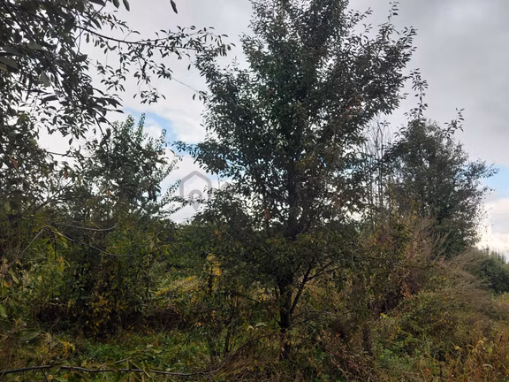 Akşehir Atakent Mahallesi'nde Satılık 2500 M² Tarla 2