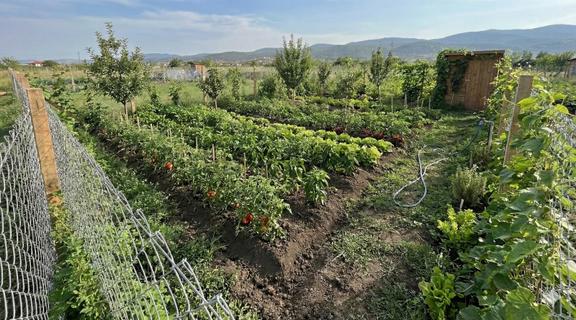 Akyurt Merkeze Yürüme Mesafesi Elektrik-su Yerleşik Hobi Bahçesi 1