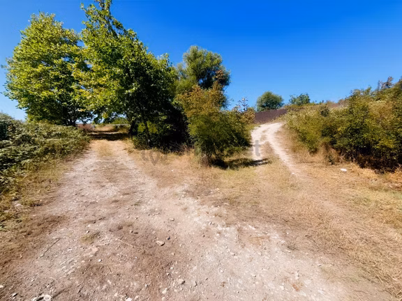 8246 M2 (bursa Yoluna 2. Parsel) Yola Toplam 313 Metre Cepheli 1