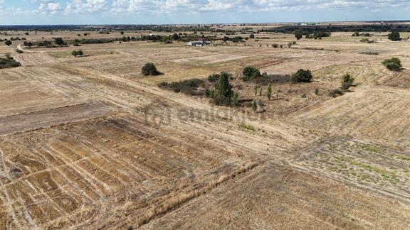 Kırklareli Kavakdere’de Köye Yakın 1.225 M² Satılık Bağyeri 1