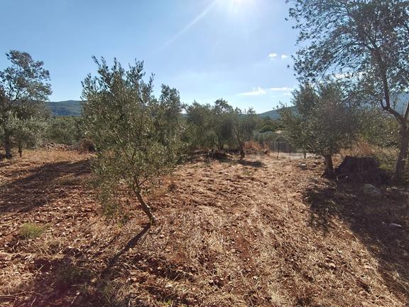 Fethiye Yeşilüzümlü Mevkiinde Kiralık 2.920 M² Arazi 1